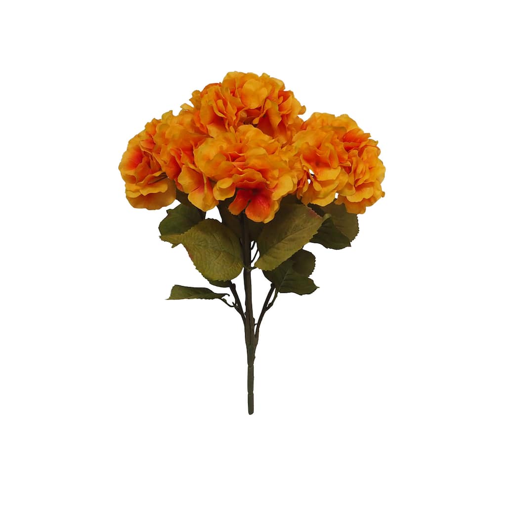 10589808_1.jpg img